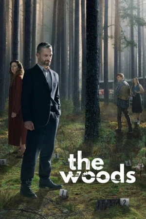  Dans les bois - Saison 1 affiche 