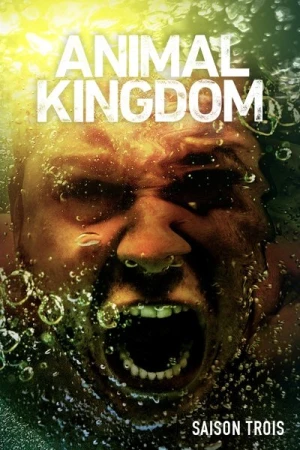  Animal Kingdom - Saison 3 affiche 