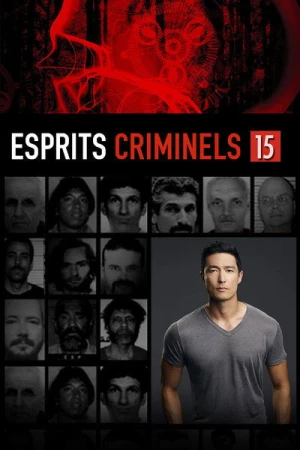  Esprits Criminels - Saison 15 affiche 