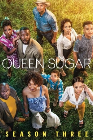  Queen Sugar - Saison 3 affiche 