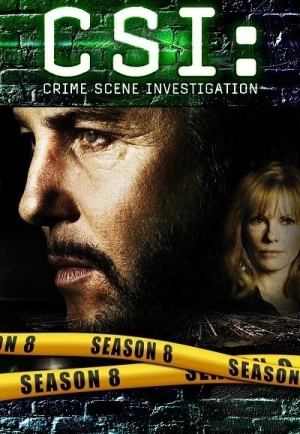 Les Experts - Saison 8 affiche 