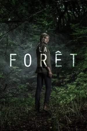 La Forêt - Saison 1 affiche 
