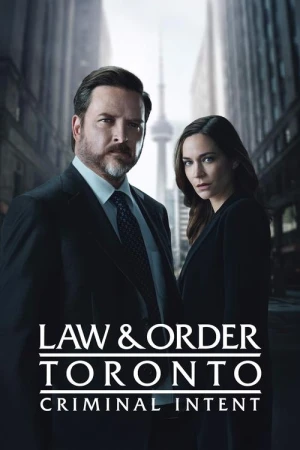  Toronto : Section Criminelle - Saison 2 affiche 