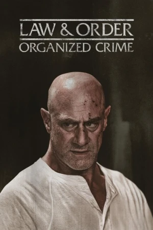  New York : Crime organisé - Saison 5 affiche 